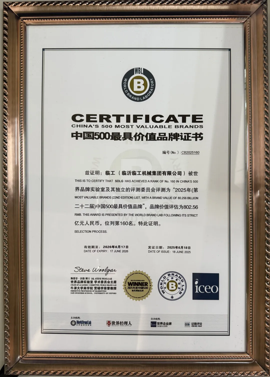 LGMG, con ¥80.26 mil millones de valor, 12 años entre las 500 marcas top de China
